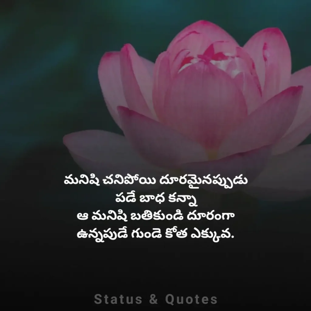 Telugu Love Quotation