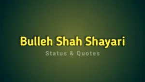 Read more about the article 50+ Best Baba Bulleh Shah Shayari in Punjabi